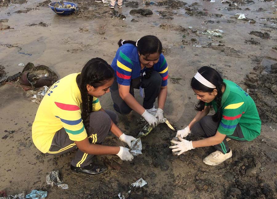 Beach Clean up - Ryan International School, Malad