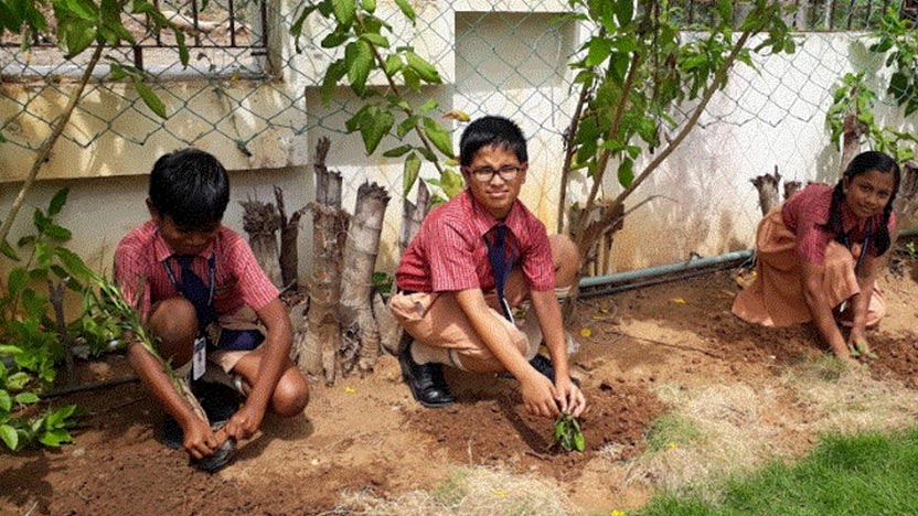 World Environment Day - Ryan International School, Sriperumbudur