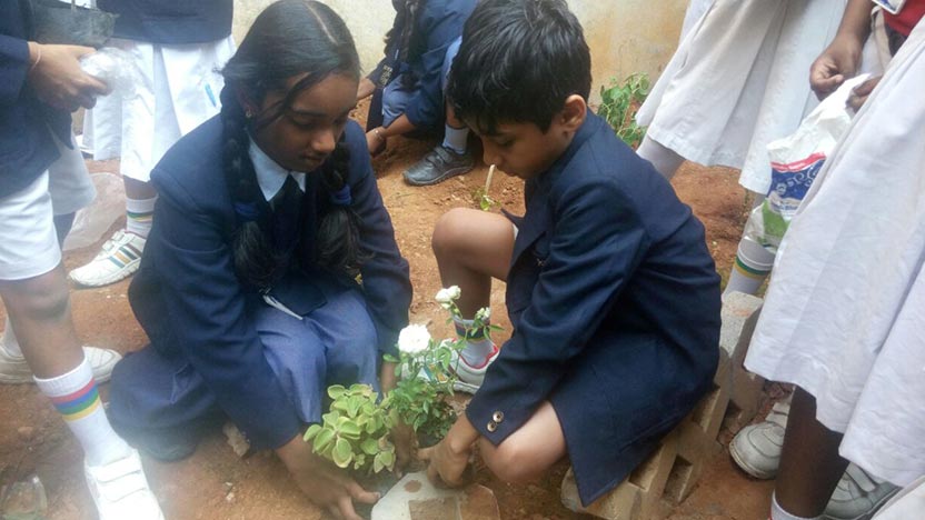 Environment week celebration - Ryan International School Kundalahalli - Ryan Group