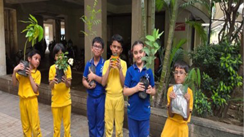 Environment week - 2025