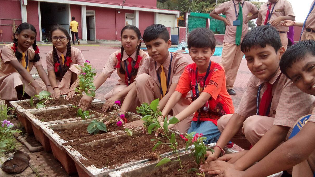 Environment week celebration