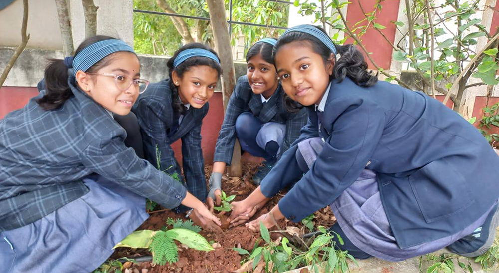 Tree Plantation Drive