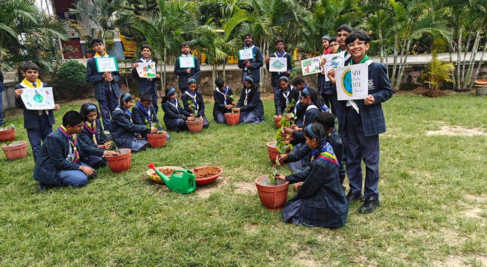 Tree Plantation Drive