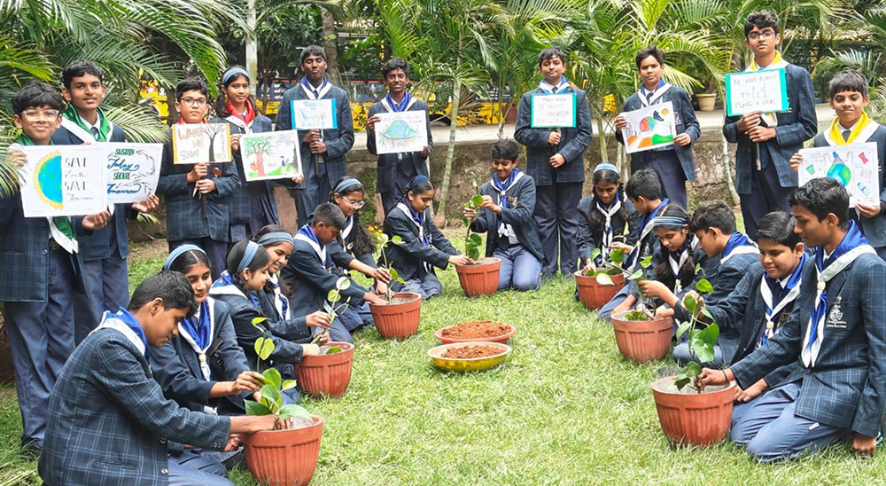 Tree Plantation Drive