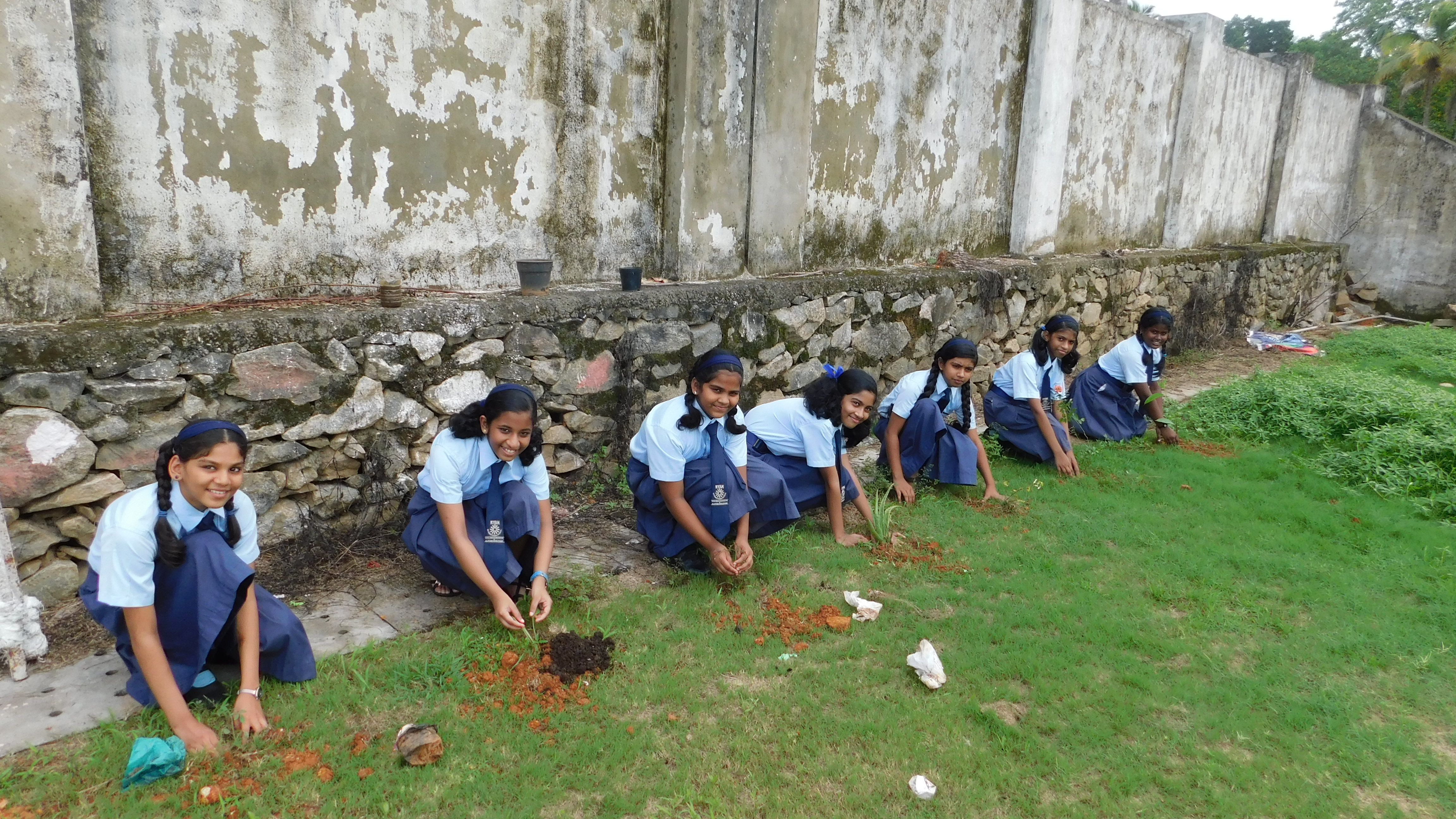 Tree Plantation - Ryan Interntional Kunnukara