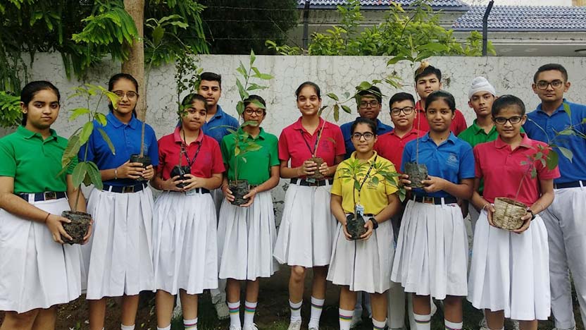 Environment Month  - Ryan International School, Patiala Phase 2 - Ryan Group