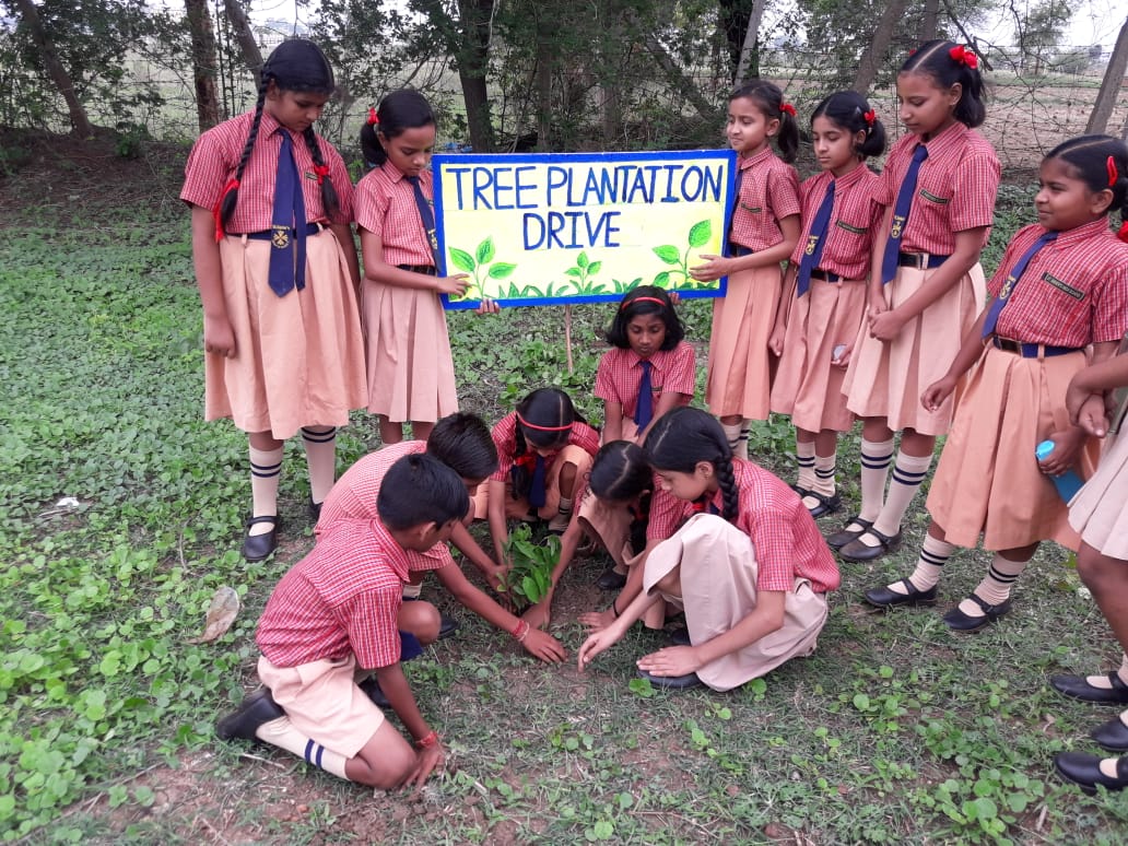 Environment Day Celebration - Ryan International School, Durg