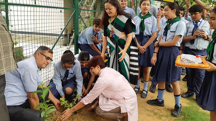 Plantation Drive - Ryan International School, Dasna