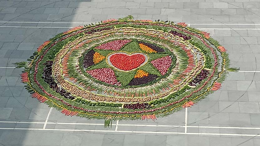 Making of Vegetable Mandala - Ryan International School, Jamalpur Jamalpur - Ryan Group