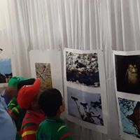 Wildlife photography exhibition - Ryan International School, Gondia