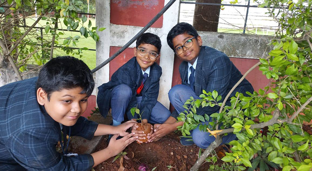 Tree Plantation Drive Tree Plantation Drive