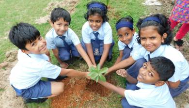 Tree Plantation - Ryan Interntional Kunnukara