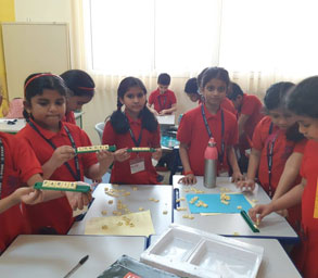 Gallery - Ryan International School, Sharjah