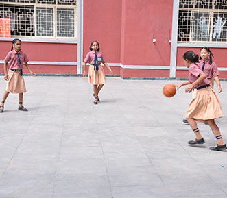 Basket-Ball - Ryan Group